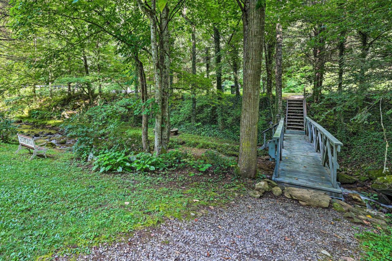Roan Mountain Creekside Cabin Hike And Fish! Exterior photo